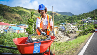 Woman putting grass clippings into a wheelbarrow with a UNDP sticker