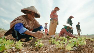 Women farmers planting seeds