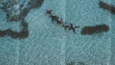 Aerial view of the water